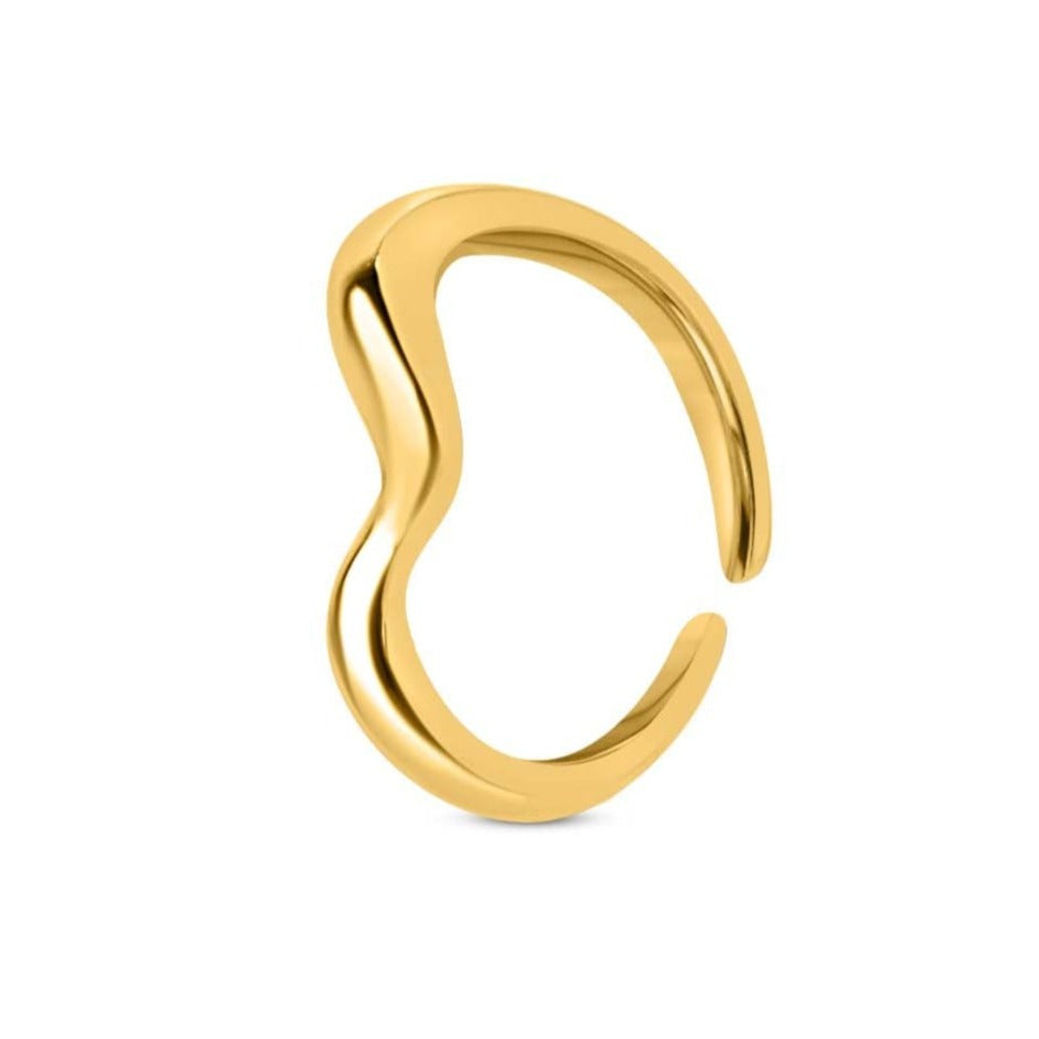 Abstract Ring